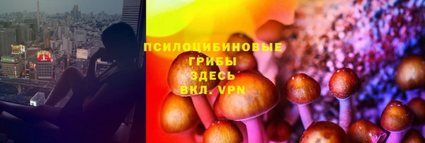 синтетический гашиш Ельня