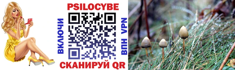 ссылка на мегу маркетплейс  Волосово  Псилоцибиновые грибы Cubensis 