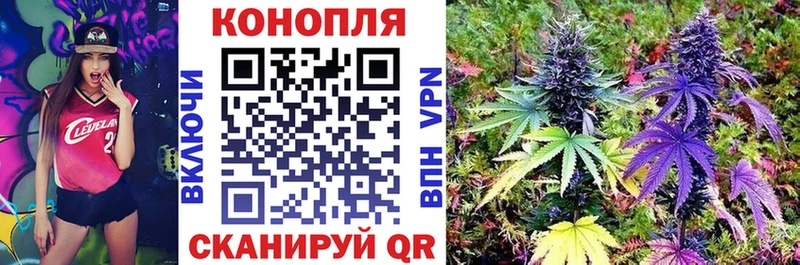 OMG сайт  Волосово  Марихуана AK-47 